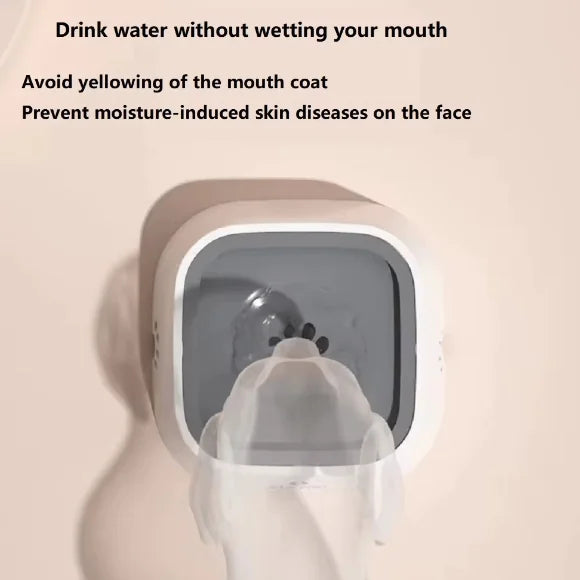 Floating Dog Water Bowl - No Wet Mouth Design